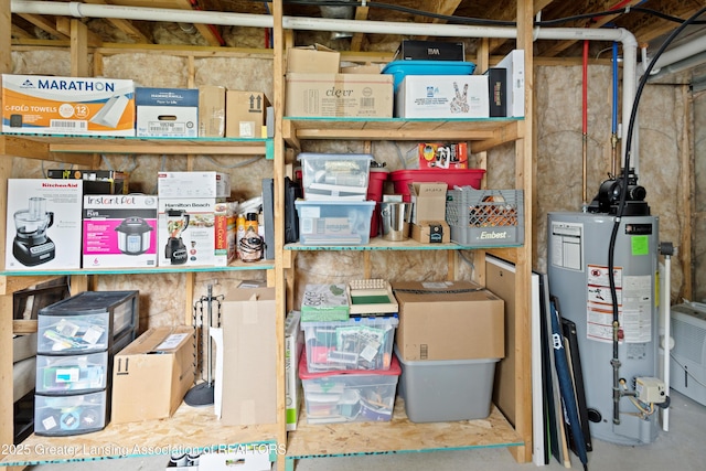 15925 Turnberry St, Lansing, MI 48906 - storage room with gas water heater