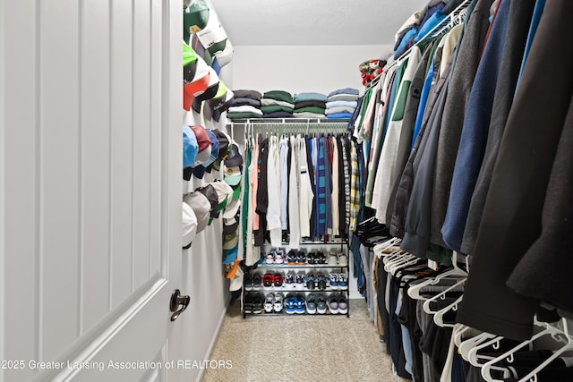 15925 Turnberry St, Lansing, MI 48906 - spacious closet featuring carpet floors