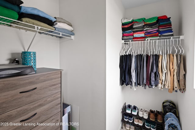 15925 Turnberry St, Lansing, MI 48906 - view of walk in closet