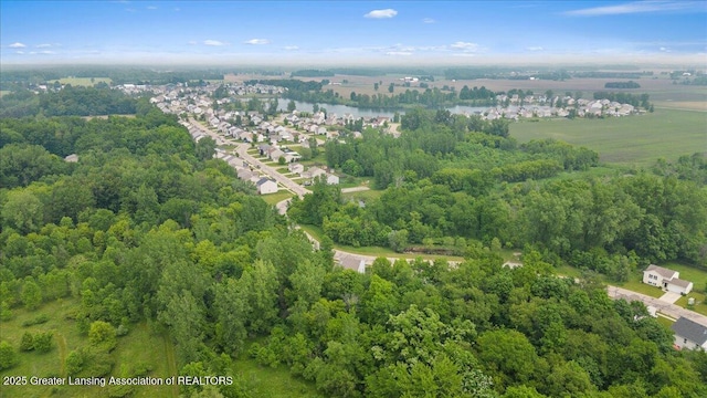 460 Blue Spruce Ln, Mason, MI 48854 - aerial view of property and surrounding area