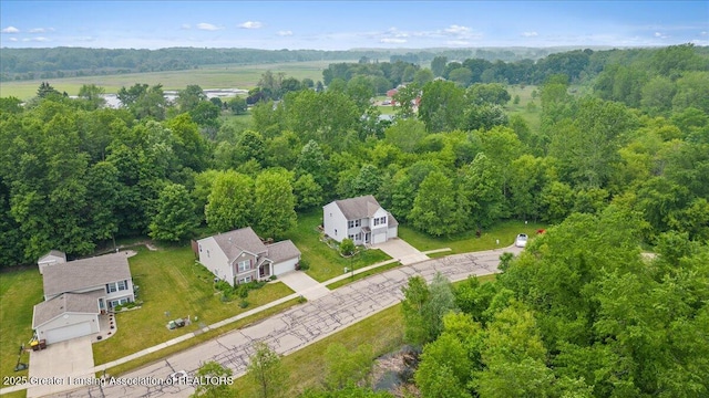 460 Blue Spruce Ln, Mason, MI 48854 - aerial view of a heavily wooded area