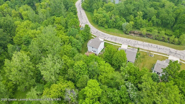 460 Blue Spruce Ln, Mason, MI 48854 - drone / aerial view of a forest