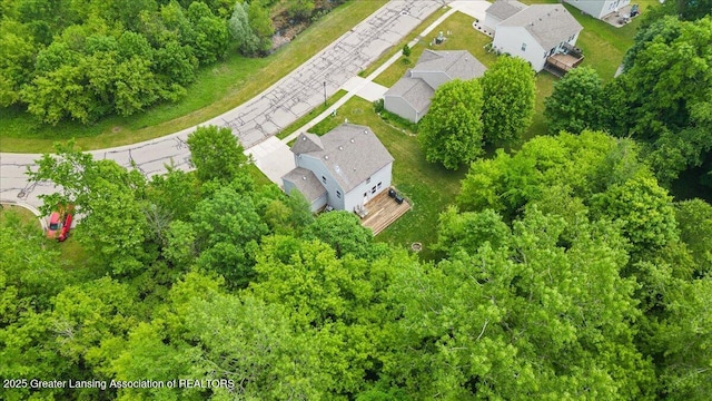 460 Blue Spruce Ln, Mason, MI 48854 - aerial view of residential area
