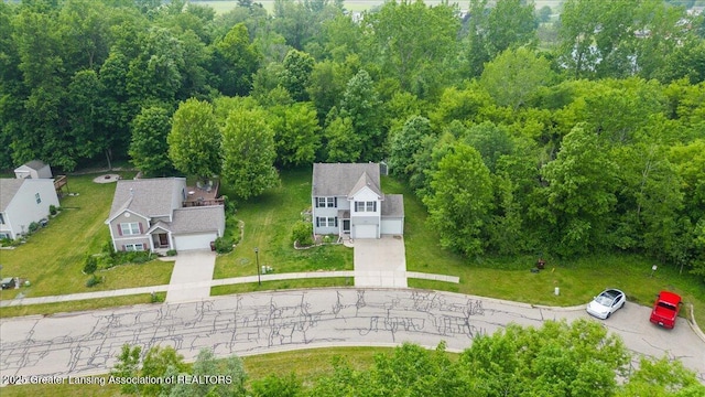460 Blue Spruce Ln, Mason, MI 48854 - view of subject property