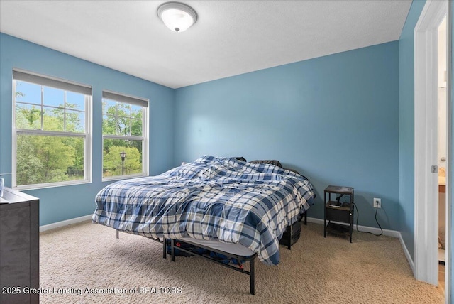 460 Blue Spruce Ln, Mason, MI 48854 - bedroom with carpet