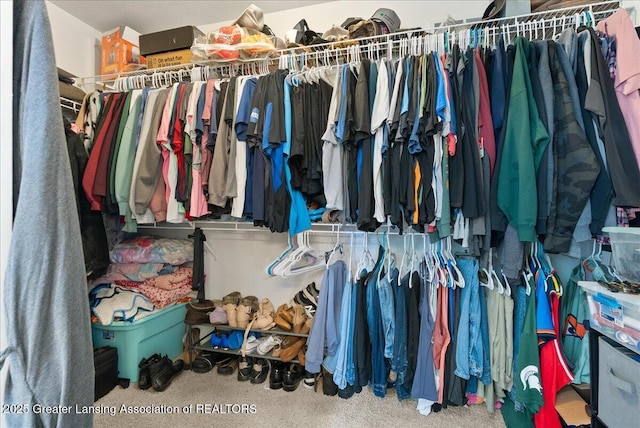 460 Blue Spruce Ln, Mason, MI 48854 - walk in closet featuring carpet