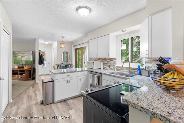 992 Touraine Ave, East Lansing, MI 48823 - kitchen featuring a sink, appliances with stainless steel finishes, a peninsula, light wood-style flooring, and a textured ceiling