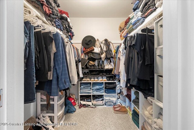 992 Touraine Ave, East Lansing, MI 48823 - spacious closet with carpet