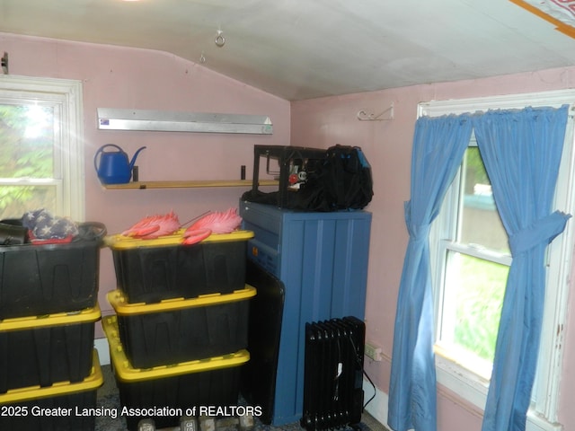 161 Okemos Rd, Mason, MI 48854 - view of storage area