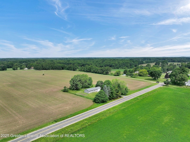 3220 Meridian Rd, Leslie, MI 49251 - photo 6