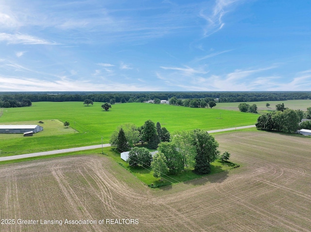 3220 Meridian Rd, Leslie, MI 49251 - photo 46