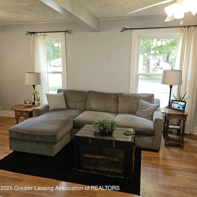 405 E Shaw St, Charlotte, MI 48813 - living room with a textured ceiling, plenty of natural light, wood finished floors, and ceiling fan
