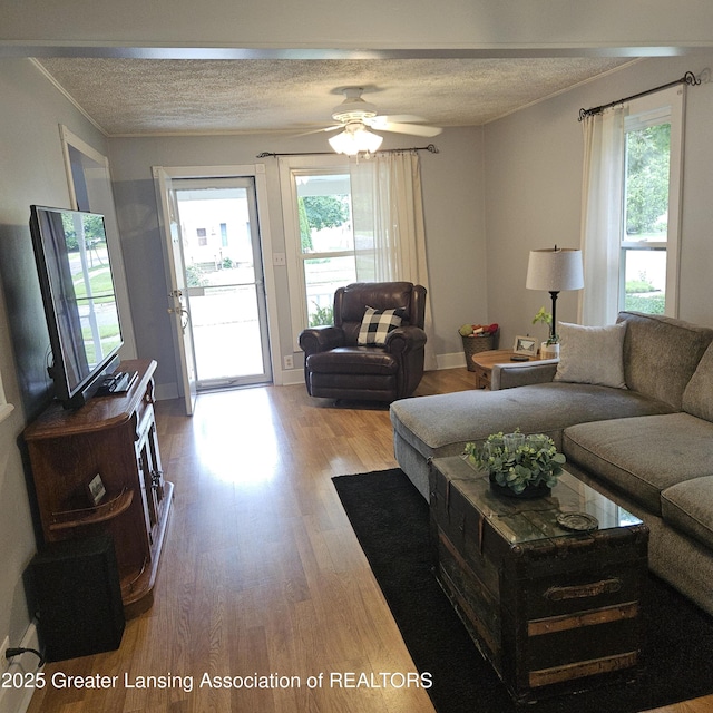 405 E Shaw St, Charlotte, MI 48813 - living room with a textured ceiling, wood finished floors, a ceiling fan, and crown molding
