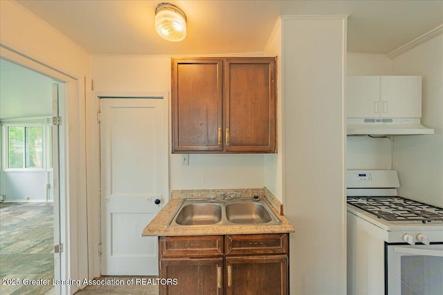 629 Emily Ave, Lansing, MI 48910 - kitchen featuring gas range gas stove, under cabinet range hood, a sink, ornamental molding, and light countertops
