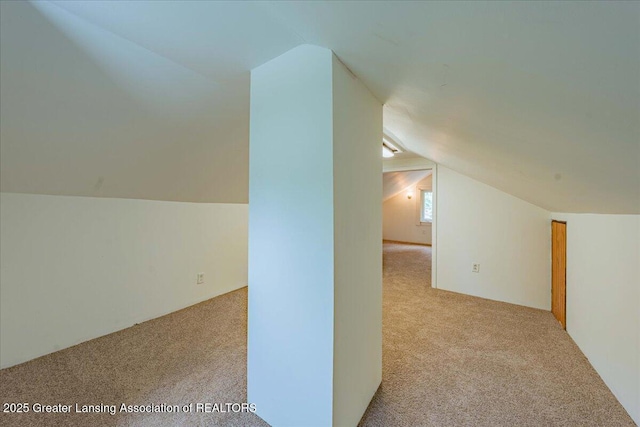 629 Emily Ave, Lansing, MI 48910 - additional living space with carpet floors and vaulted ceiling