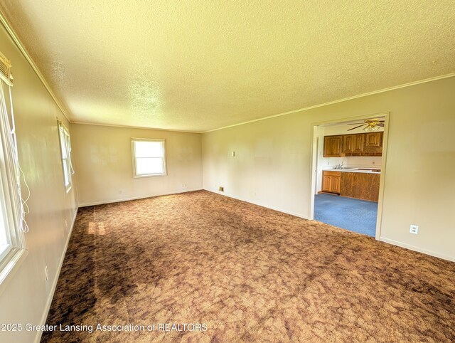 10612 Peake Rd, Portland, MI 48875 - photo 11
