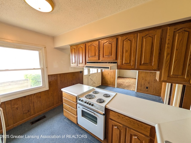 10612 Peake Rd, Portland, MI 48875 - photo 7