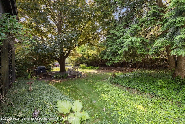 1035 N Capitol Ave, Lansing, MI 48906 - view of yard