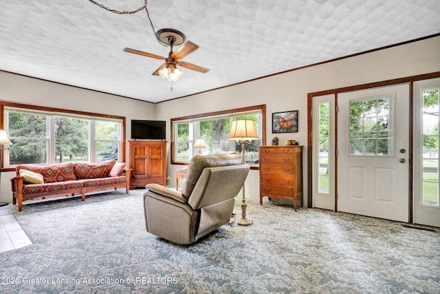 8767 Corrison Rd, Grand Ledge, MI 48837 - living room with ceiling fan, carpet, plenty of natural light, and a textured ceiling