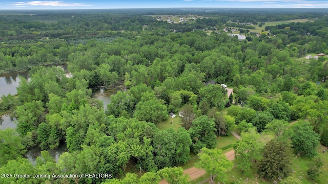 8767 Corrison Rd, Grand Ledge, MI 48837 - aerial overview of property's location featuring a forest and a large body of water