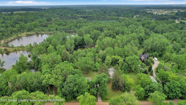 8767 Corrison Rd, Grand Ledge, MI 48837 - aerial view of property's location featuring a heavily wooded area and a nearby body of water