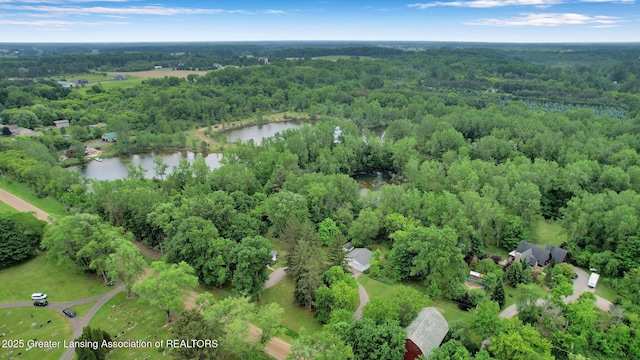 8767 Corrison Rd, Grand Ledge, MI 48837 - aerial view of property and surrounding area with a large body of water and a forest