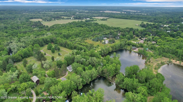 8767 Corrison Rd, Grand Ledge, MI 48837 - aerial view of property's location featuring a nearby body of water