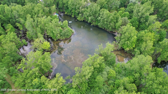 8767 Corrison Rd, Grand Ledge, MI 48837 - aerial view of property and surrounding area with a heavily wooded area