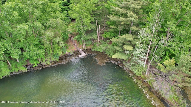8767 Corrison Rd, Grand Ledge, MI 48837 - aerial view of property's location