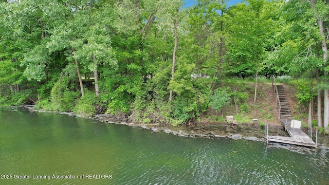 8767 Corrison Rd, Grand Ledge, MI 48837 - water view featuring stairs and a boat dock