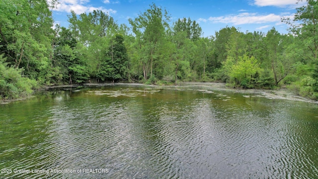 8767 Corrison Rd, Grand Ledge, MI 48837 - water view with a forest