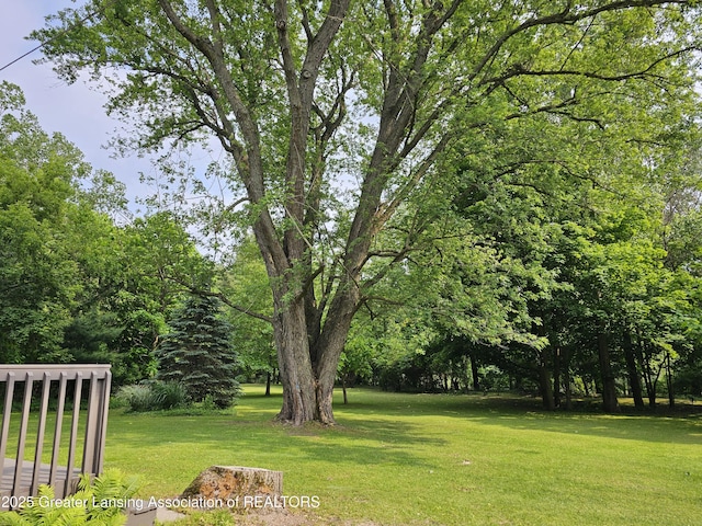 8767 Corrison Rd, Grand Ledge, MI 48837 - view of green lawn
