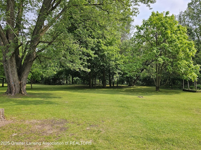 8767 Corrison Rd, Grand Ledge, MI 48837 - view of grassy yard