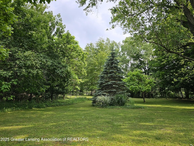 8767 Corrison Rd, Grand Ledge, MI 48837 - view of green lawn