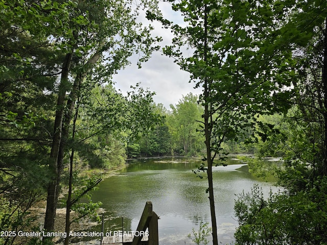 8767 Corrison Rd, Grand Ledge, MI 48837 - water view with a heavily wooded area