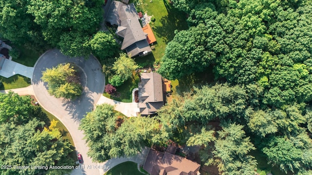 1117 Windreef Cir, Okemos, MI 48864 - aerial overview of property's location