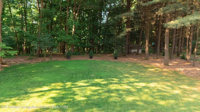 1117 Windreef Cir, Okemos, MI 48864 - view of green lawn