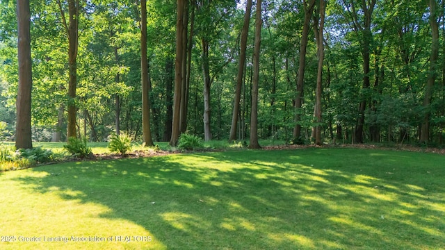 1117 Windreef Cir, Okemos, MI 48864 - view of grassy yard