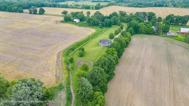 4905 E Green Rd, Saint Johns, MI 48879 - aerial view of sparsely populated area