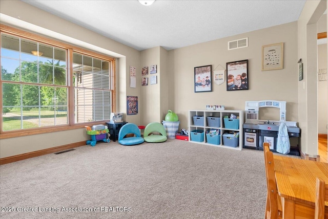 4905 E Green Rd, Saint Johns, MI 48879 - rec room with carpet floors and baseboards