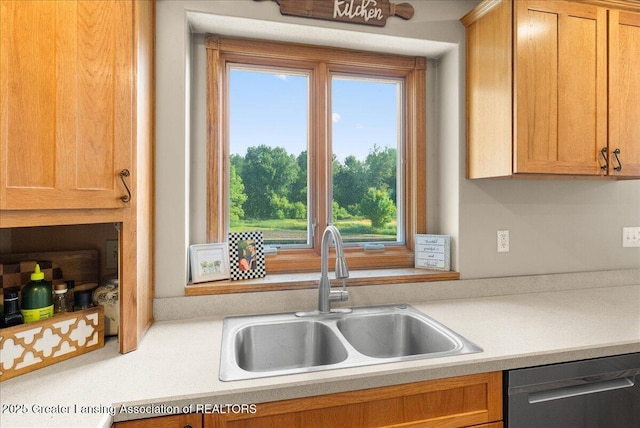 4905 E Green Rd, Saint Johns, MI 48879 - kitchen with stainless steel dishwasher, light countertops, and healthy amount of natural light