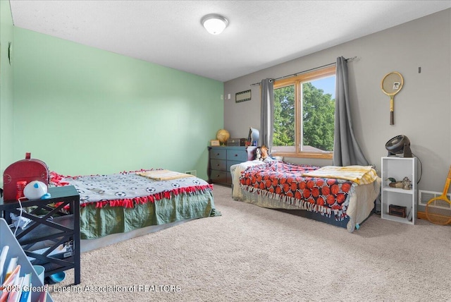 4905 E Green Rd, Saint Johns, MI 48879 - view of carpeted bedroom
