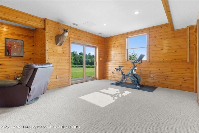 4905 E Green Rd, Saint Johns, MI 48879 - workout area with healthy amount of natural light, carpet, wooden walls, and recessed lighting