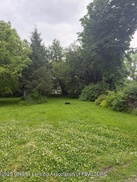 921 W Genesee St, Lansing, MI 48915 - view of yard featuring a view of trees