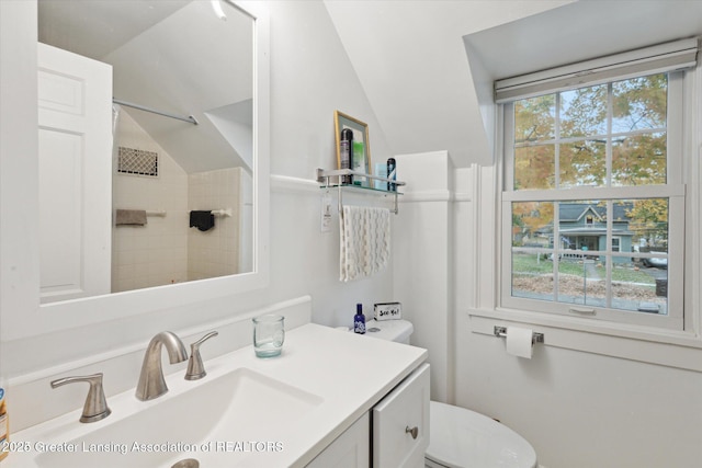 350 N Marshall Ave, Marshall, MI 49068 - full bathroom featuring a shower, lofted ceiling, and vanity