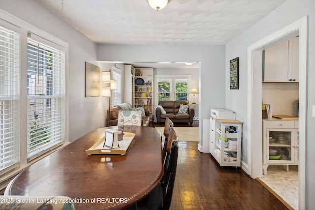 515 N Fairview Ave, Lansing, MI 48912 - dining room featuring dark wood-type flooring and healthy amount of natural light
