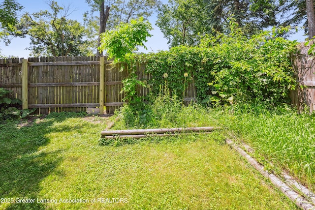 515 N Fairview Ave, Lansing, MI 48912 - view of yard