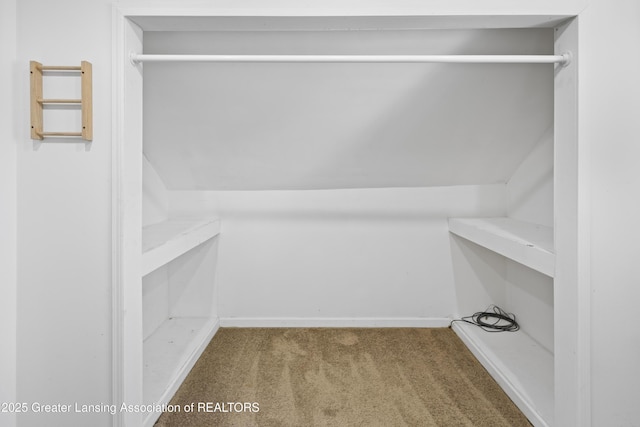 2335 Harding Ave, Lansing, MI 48910 - walk in closet with carpet flooring