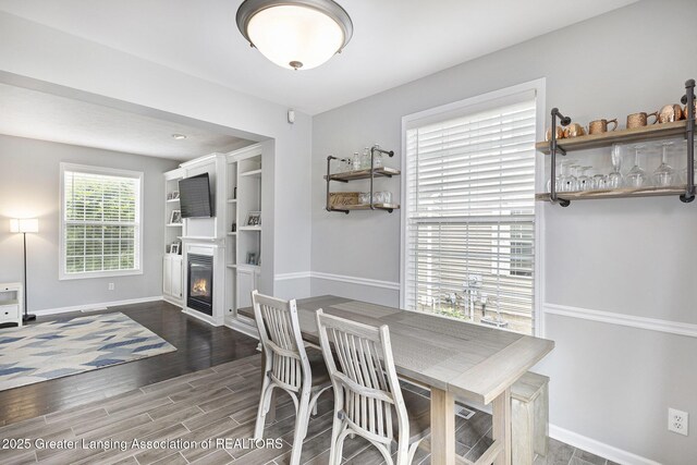 491 Anhinga Dr, East Lansing, MI 48823 - dining space featuring wood finished floors and a glass covered fireplace