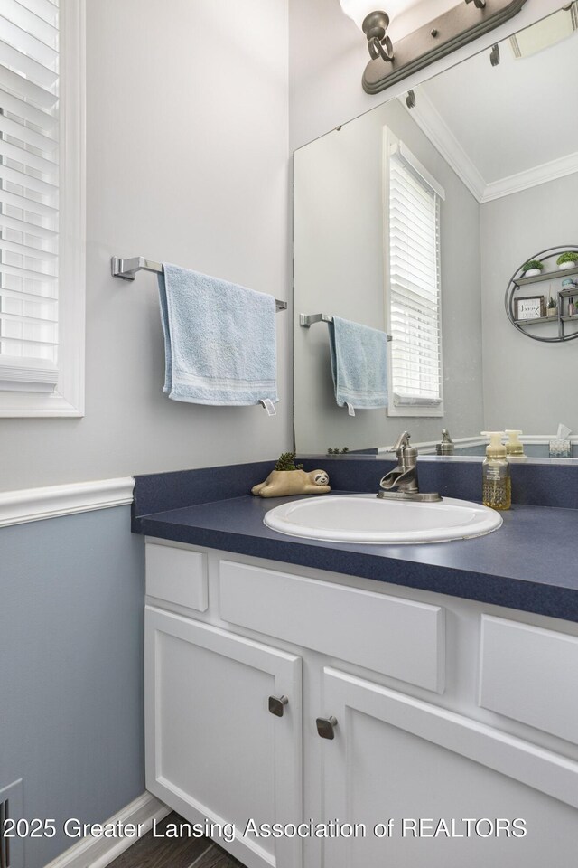 491 Anhinga Dr, East Lansing, MI 48823 - bathroom with crown molding, vanity, and wood finished floors